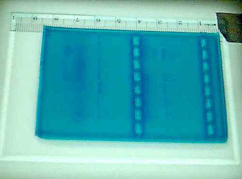 Agarose Low EEO