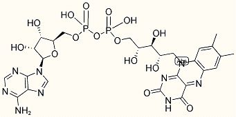 Flavine-Adenine Dinucleotide disodium Salt (FAD)