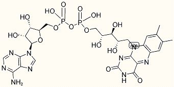 फ्लेविन-एडेनिन डाइन्यूक्लियोटाइड डिसोडियम सॉल्ट (Fad)