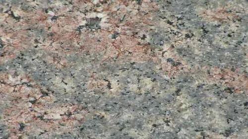 APPLE BLOSSOM GRANITE