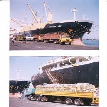 Cargo Clearance Services By SATYANARAIN BAGLA & SONS