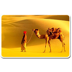 Rajasthan Travel Packages By Travel Passion
