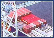 Liner Shipping Services By MERCHANT SHIPPING SERVICES PVT. LTD.