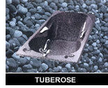 Tuberose Bath Tubs