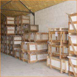 Warehouse Services