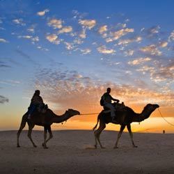 Rajasthan Desert Tour By Oriental Travels Private Limited