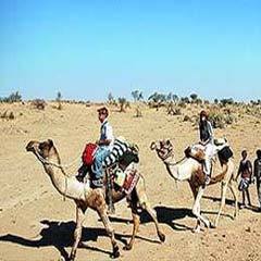 Camel Safari in Rajasthan By Allure Yatra Private Ltd.