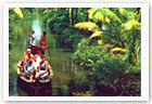 KERALA TOUR PACKAGES