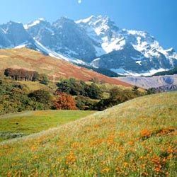 Valley of Flowers By Shivalik Travels