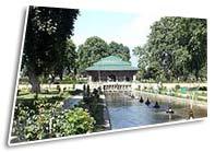 Fun Loving Kashmir