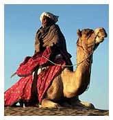 Royal Rajasthan Camel Safari By Lawrence Travels & Tours (Pvt.) Ltd.