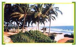 Traditional Kerala Beaches Tours