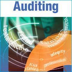 Auditing & Assurance Services