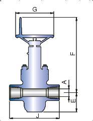 Threaded Gate Valve