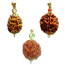 Rudraksha