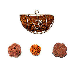 Rudraksha Pendant at Best Price in New Delhi, Delhi | Pure Life