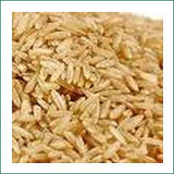 Brown Organic Rice