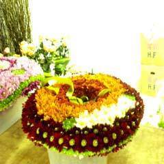 Floral Delivery By Agri Unlimited