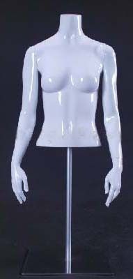 Mannequin Form