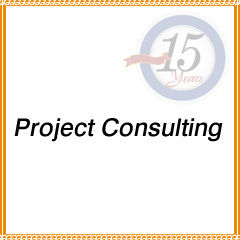 Project Consulting