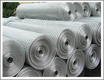 Welded Wire Mesh