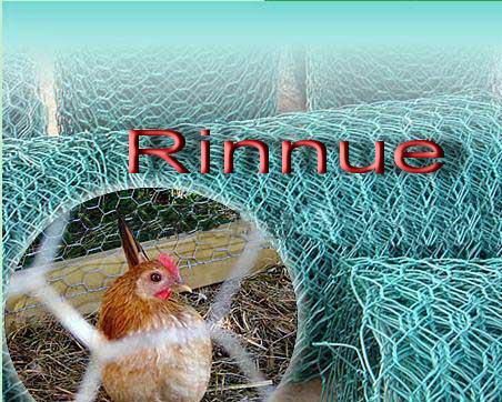 PVC Coated Hexagonal Wire Mesh