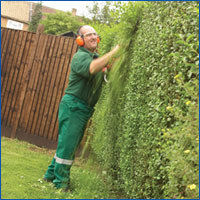 Garden Maintenance Services