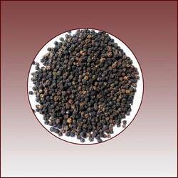 Black Pepper