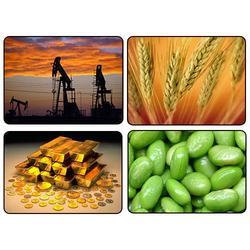 Commodities Trading Services By Sykes & Ray Equities (I) Ltd.
