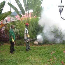 Fogging & Mosquito Control