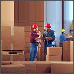 Packers And Movers In Ncr