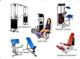 Body Building Gym Equipments In Kolhapur Kolapur Maharashtra Dealers Traders Body Building Gym Equipments In Kolhapur Kolapur Maharashtra Dealers Traders