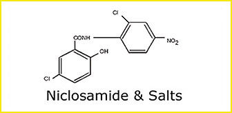 Niclosamide & Salts
