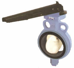 ASHRAY Butterfly Valves