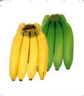 Fresh Banana Fruit