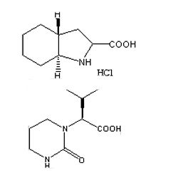 Trandolapril & Lopinavir