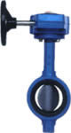 Butterfly Valves