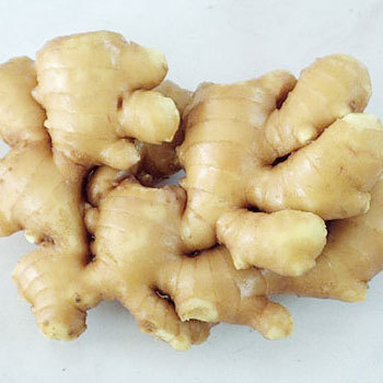 Fresh Ginger at Best Price in Zhangdian, Shandong | Shan Dong Jing Xin ...