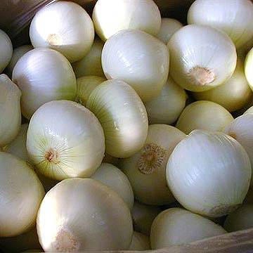 Fresh Onion