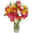 Mix Seasonal Flowers Bouquet Delivery Service