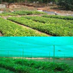 Agriculture Planting Services By Soham Agro Services