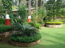 Land Scape Gardening Services