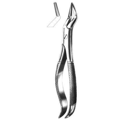 Dental Forceps