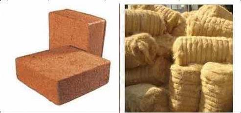 Coconut Coir