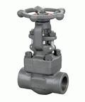 Forged Gate Valve