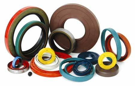 Oil Seals