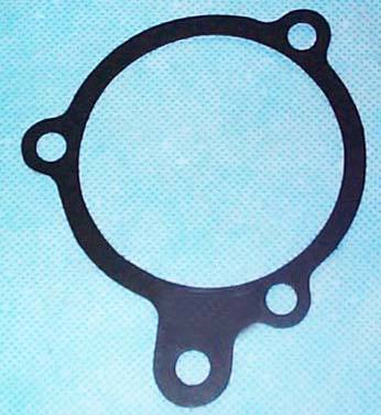 Water Pump Gasket