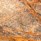 FOREST BROWN MARBLE