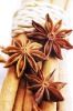 DRY STAR ANISE