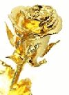 GOLD ROSE